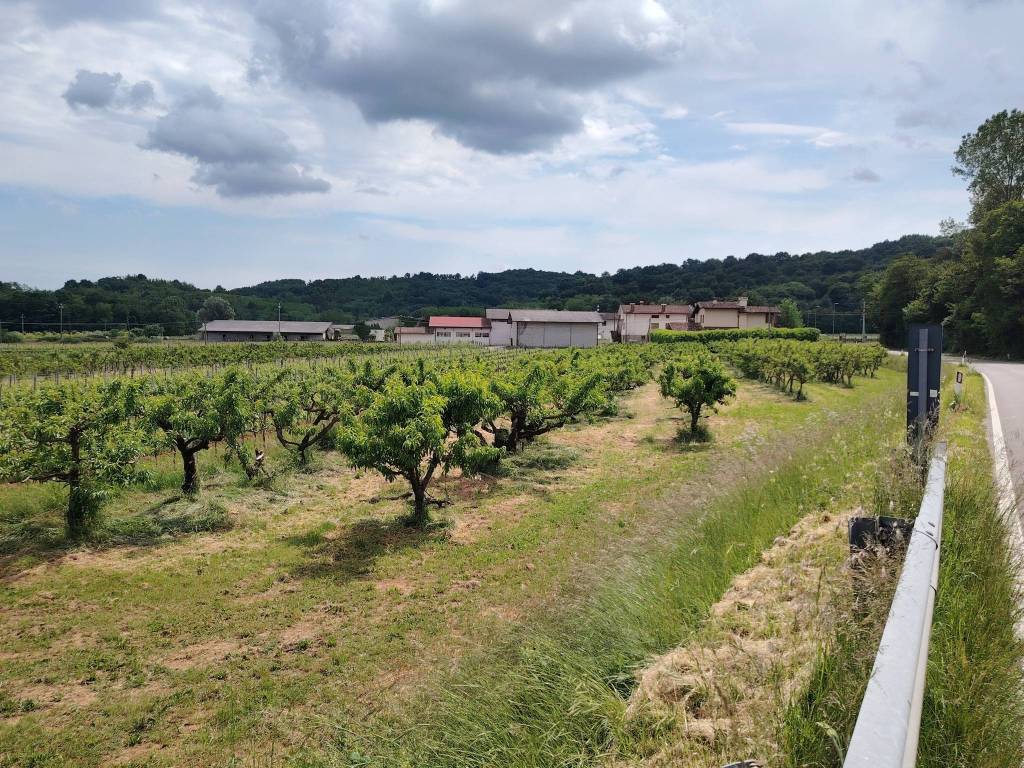 Terreno a Cormons in Via Subida, 52 - Foto 3