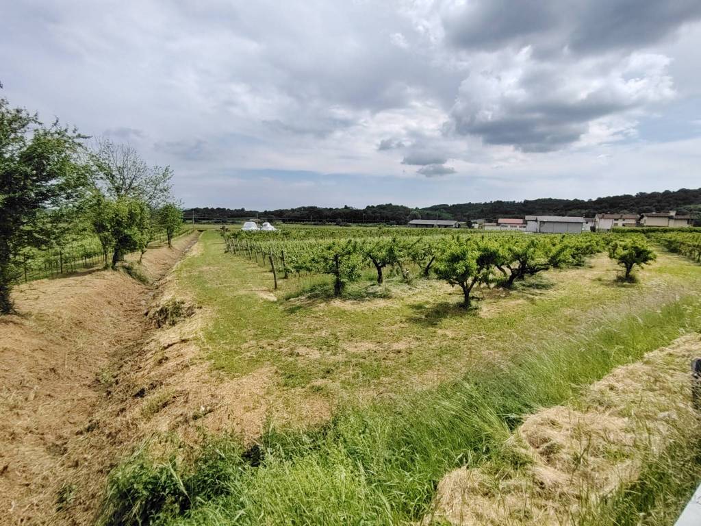Terreno a Cormons in Via Subida, 52 - Foto 4