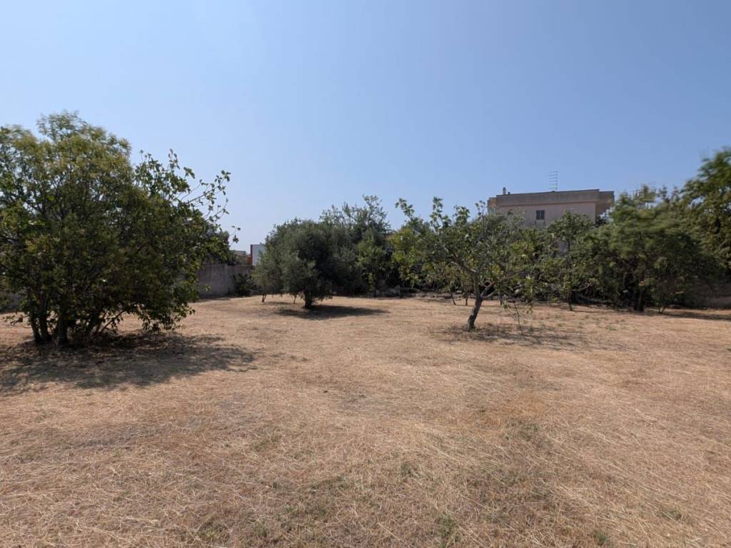 Terreno a Statte in Via Antonio Cesti - Foto 5