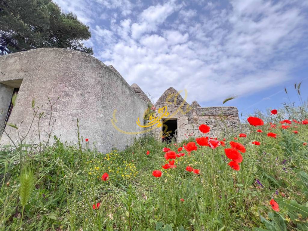 Rustico / casale a Martina franca in Contrada Vaccara - Foto 2