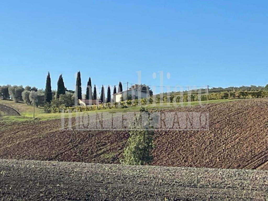 Rustico / casale a Manciano in Località La Sgrilla - Foto 3
