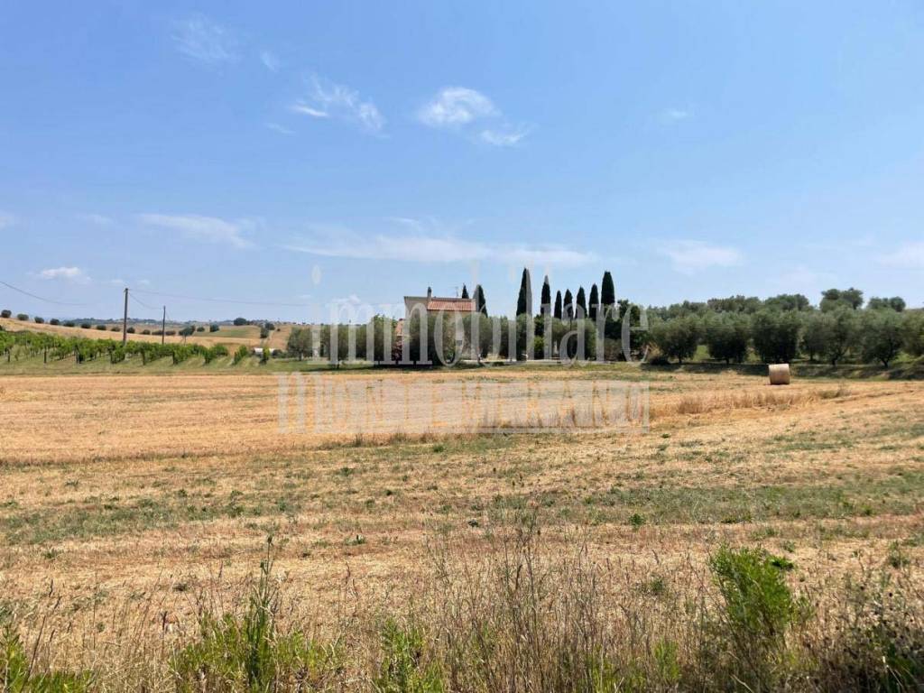 Rustico / casale a Manciano in Località La Sgrilla - Foto 5
