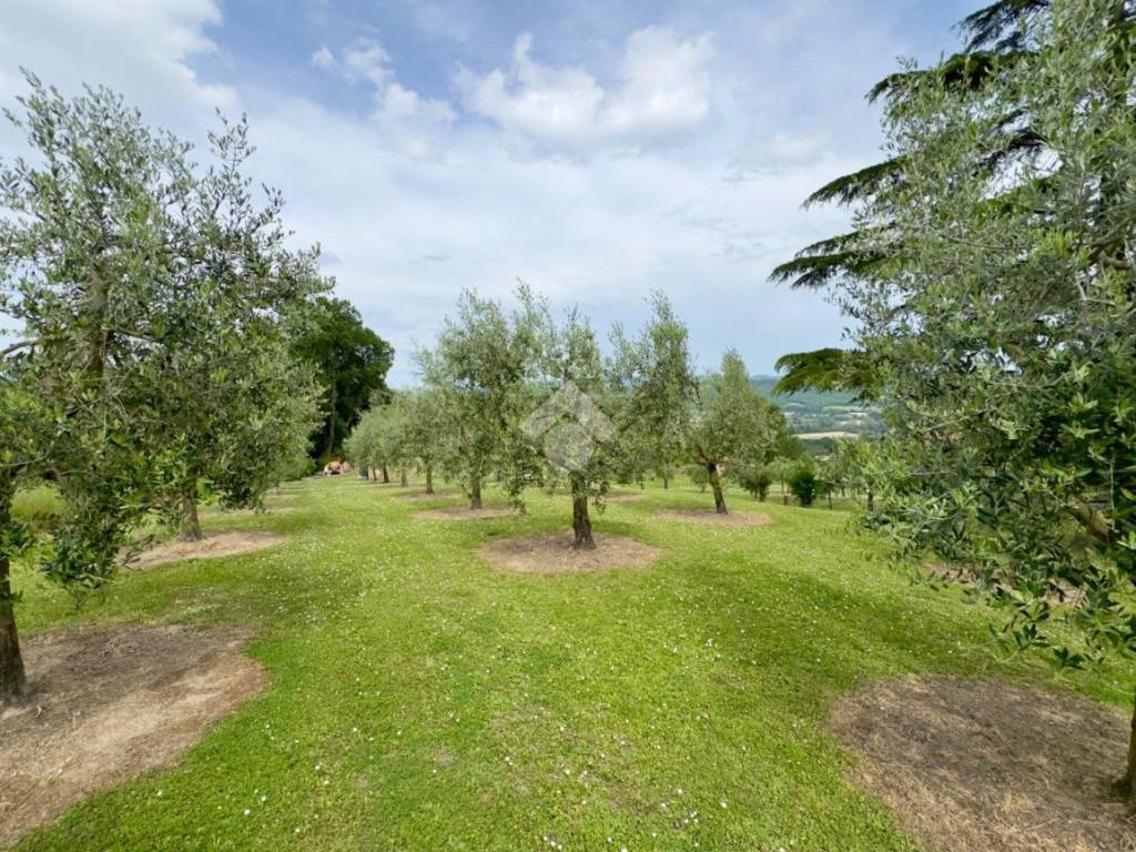 Casa indipendente a Città di castello in VOCABOLO VALDIPETRINA, 32 - Foto 4
