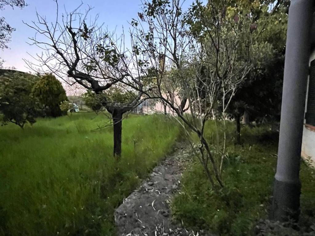 Immobile a Cisterna di latina in Via Guglielmo Marconi - Foto 3