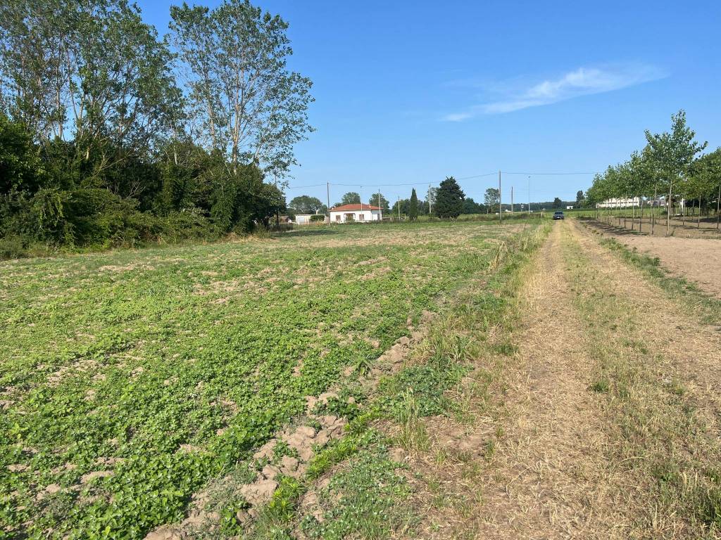 Terreno a Codigoro in Località Fronte Secondo Tronco - Foto 2