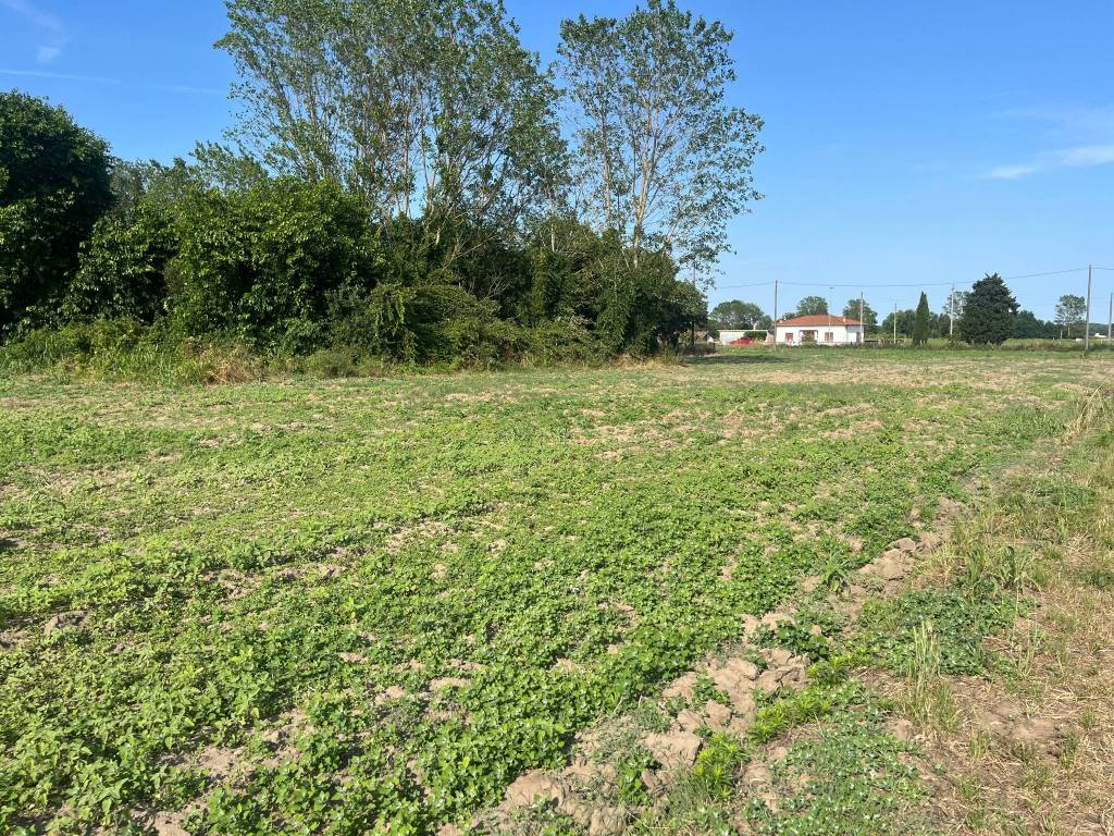 Terreno a Codigoro in Località Fronte Secondo Tronco - Foto 4