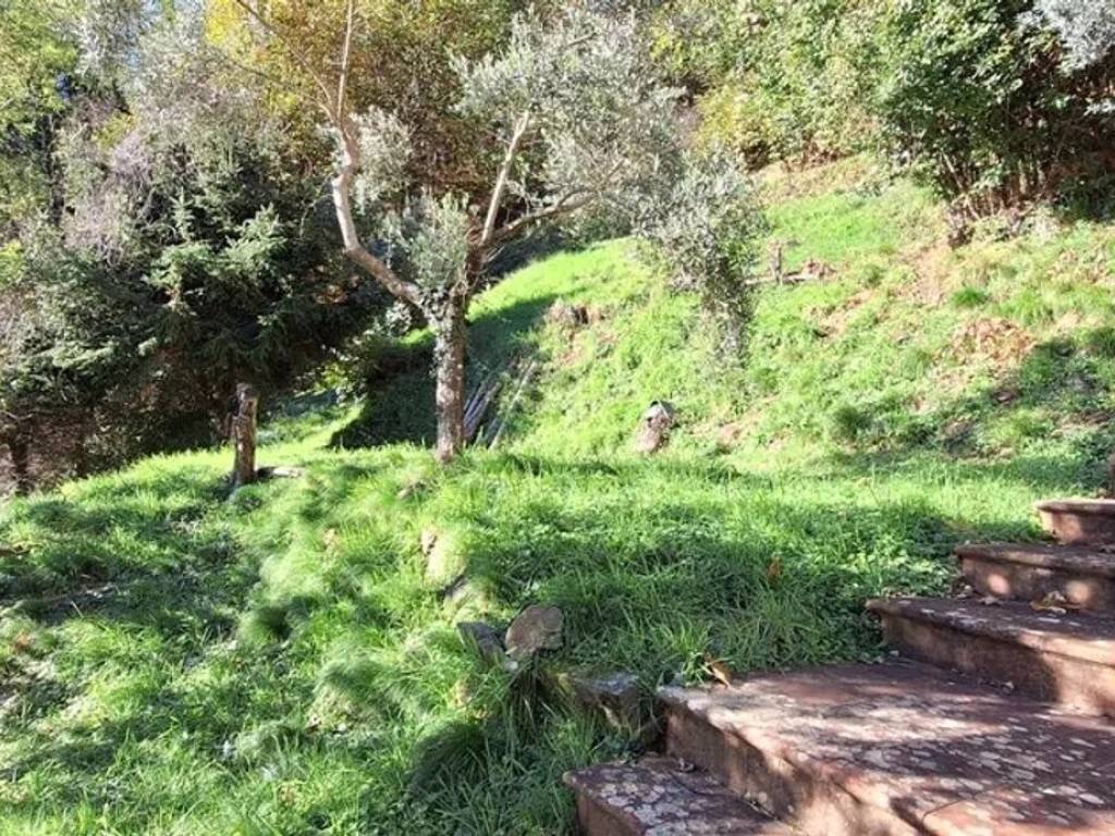 Villa a Bagni di lucca - Foto 3