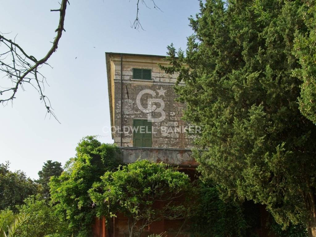 Villa a Lerici - Foto 4