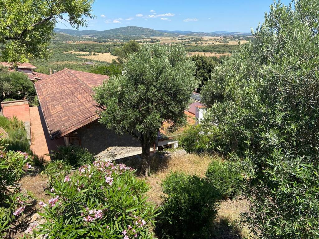 Villa a Orbetello - Foto 3