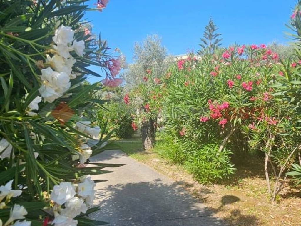 Appartamento a Sant'andrea apostolo dello ionio in Villaggio S. Andrea, 558 - Foto 3