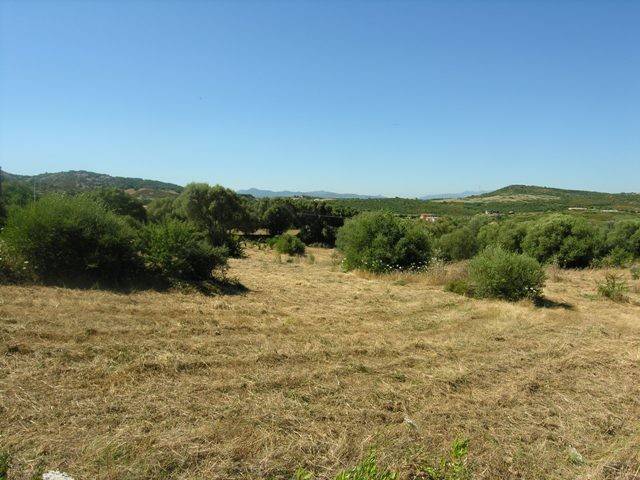 Rustico / casale a Arzachena - Foto 2