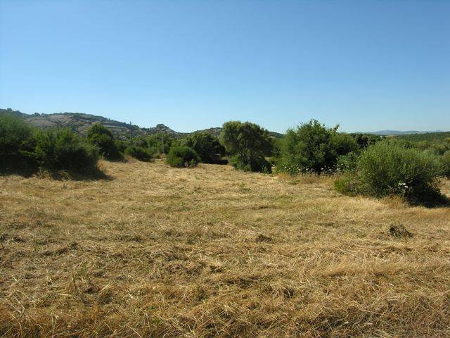 Rustico / casale a Arzachena - Foto 3