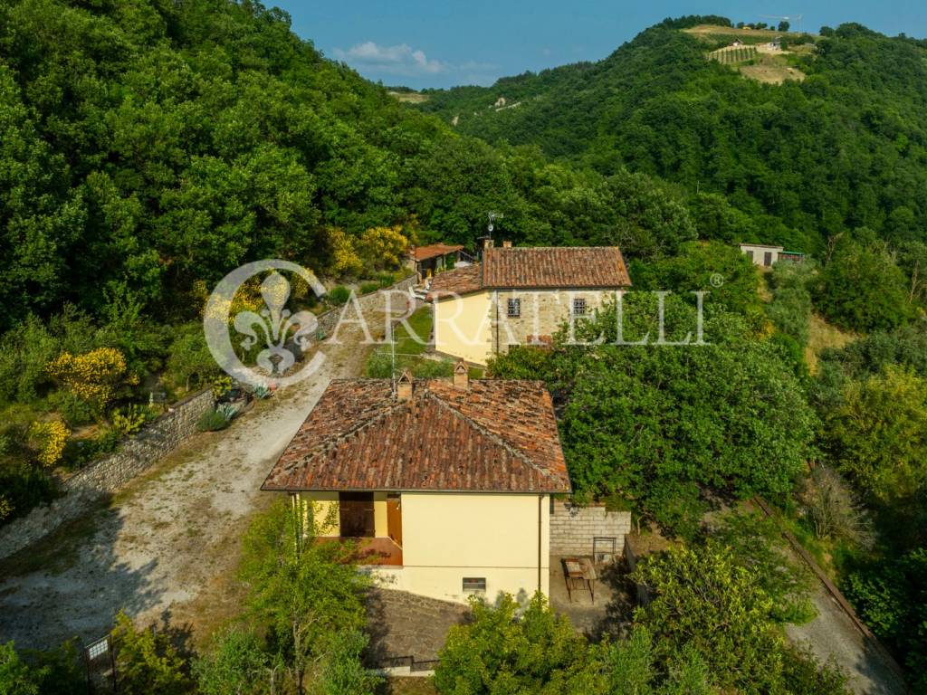 Rustico / casale a Città di castello in Via Nova, Città di Castello, 6 - Foto 3