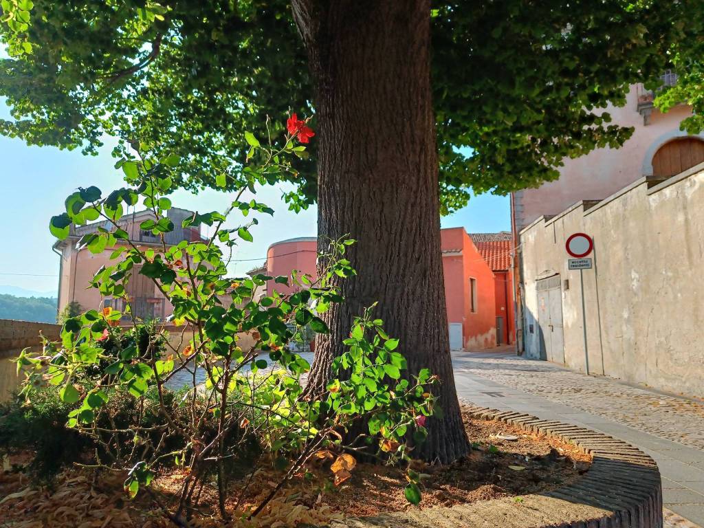 Rustico / casale a Ceppaloni in Via Giardino, 4 - Foto 3