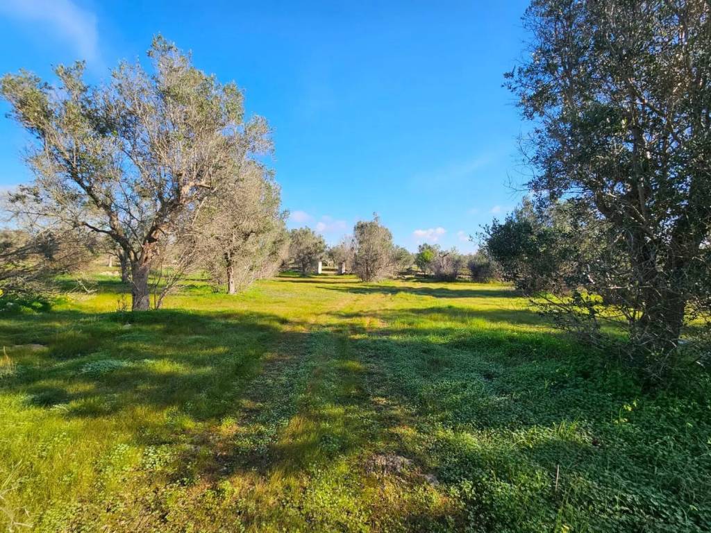 Terreno a Trepuzzi - Foto 4