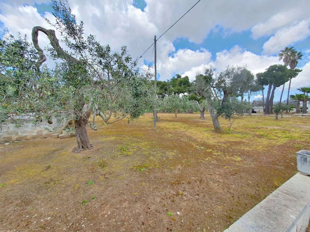 Villa a Campi salentina - Foto 4