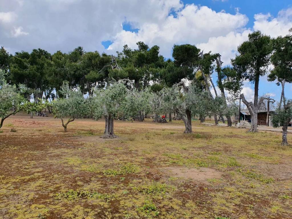 Villa a Campi salentina - Foto 3
