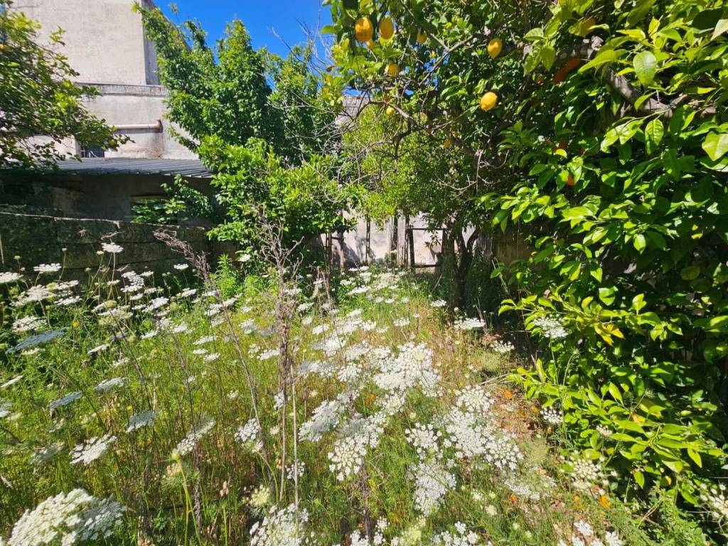 Appartamento a Castri di lecce - Foto 4