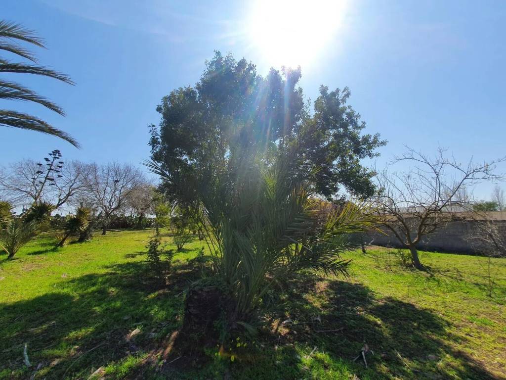 Villa a Lecce - Foto 4