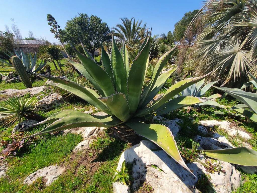 Villa a Lecce - Foto 4