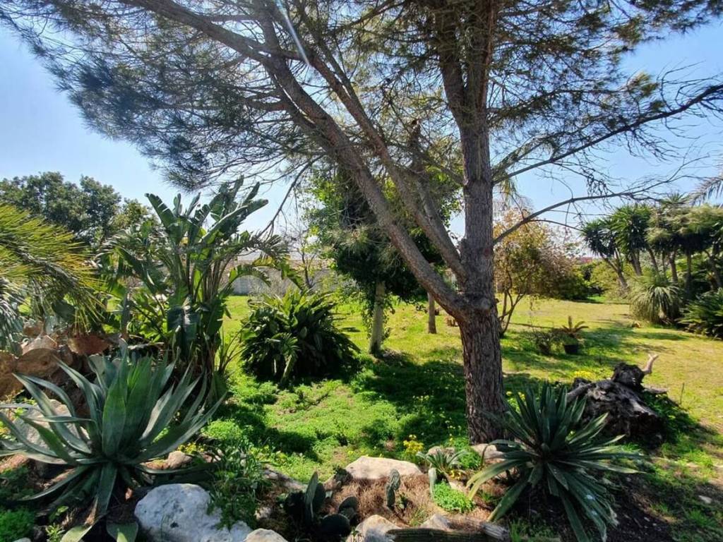 Villa a Lecce - Foto 4