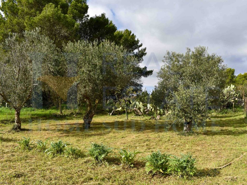 Villa a Noto in Via Tommaso Fazello, 228 - Foto 2