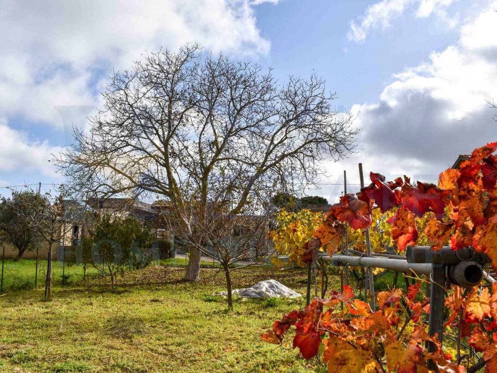 Villa a Noto in Via Tommaso Fazello, 228 - Foto 5
