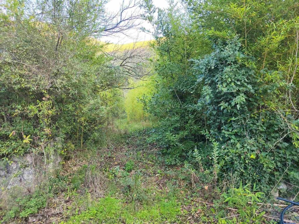 Rustico / casale a Itri in Contrada Lazzano - Foto 5