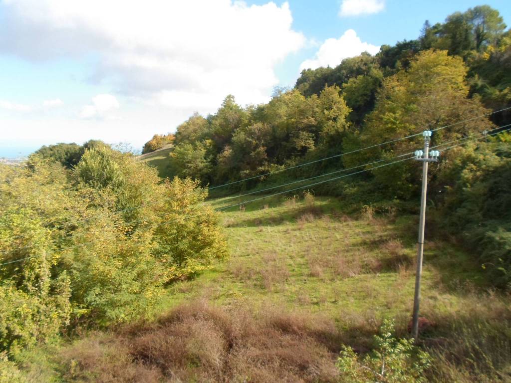 Rustico / casale a Monterubbiano in Strada Provinciale 56, 18 - Foto 4