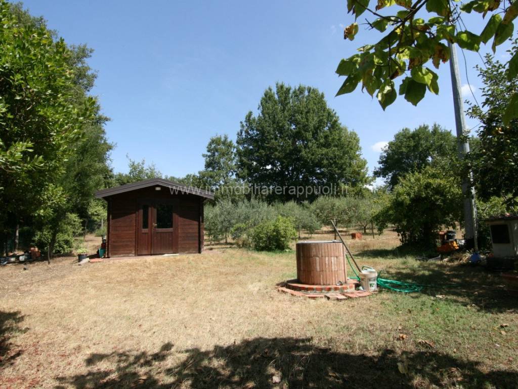 Terreno a Lucignano - Foto 2