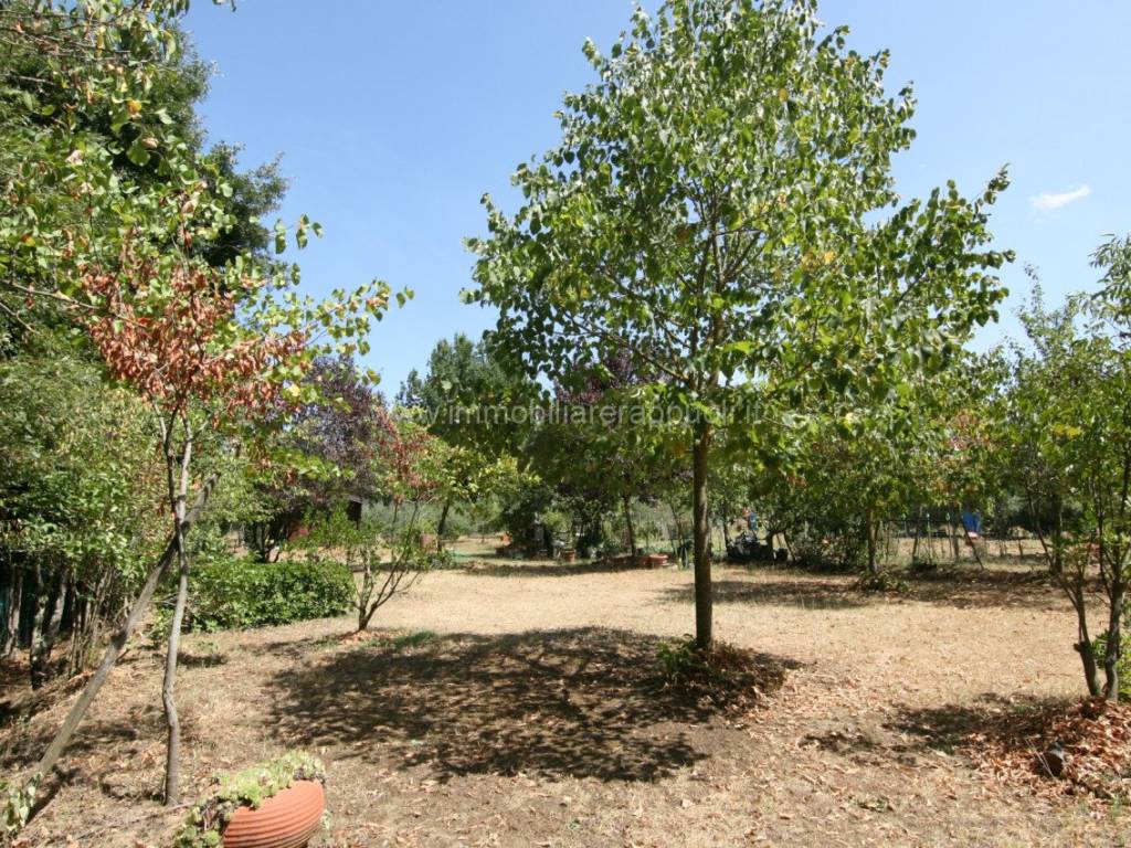 Terreno a Lucignano - Foto 4