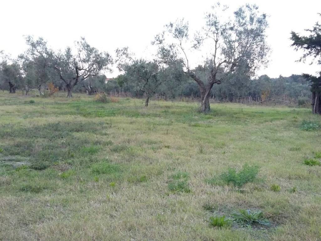 Terreno a Tuscania in Strada del Piano - Foto 3