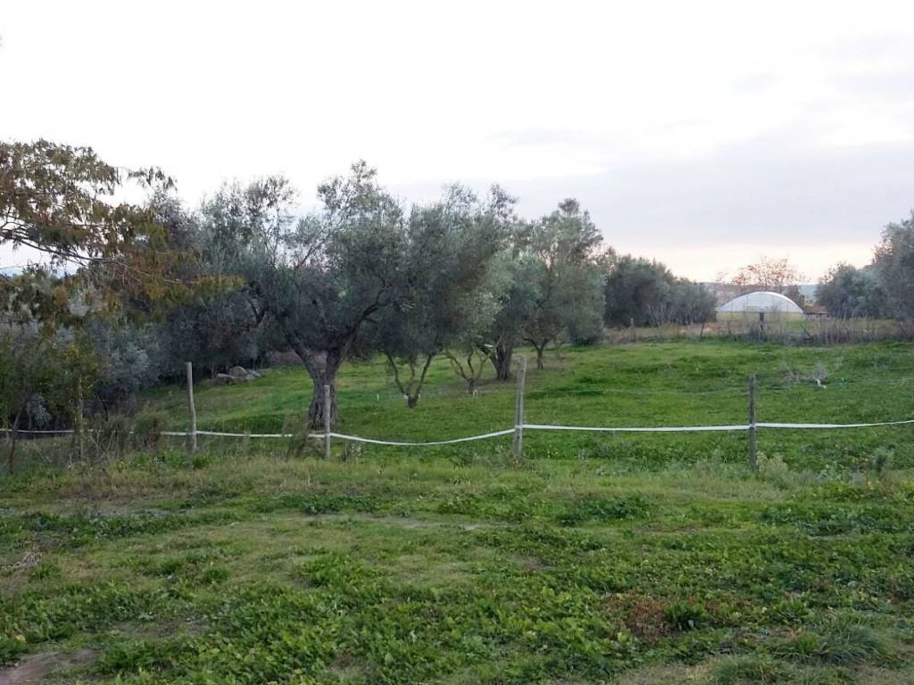 Terreno a Tuscania in Strada del Piano - Foto 5