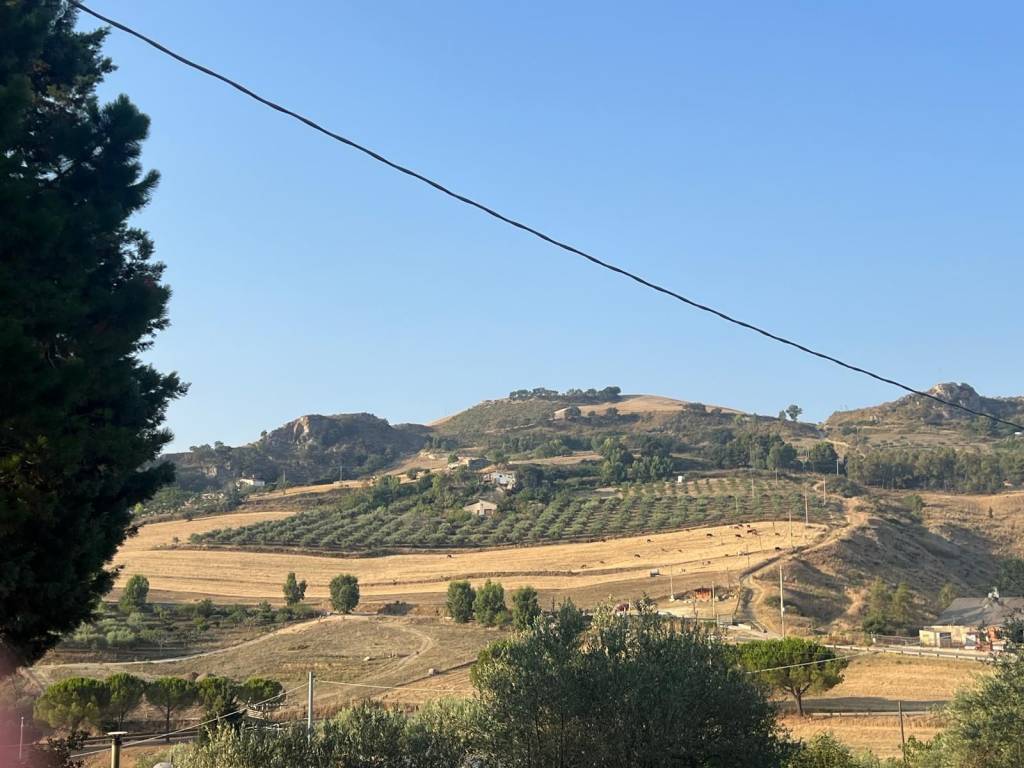 Villa a Caccamo in contrada merico - Foto 4