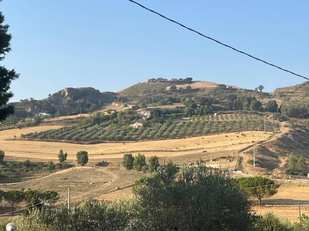 Villa a Caccamo in contrada merico - Foto 5