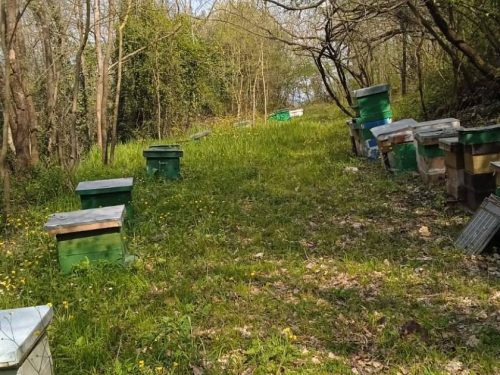 Terreno a Caiazzo in Via Acquarella - Foto 2