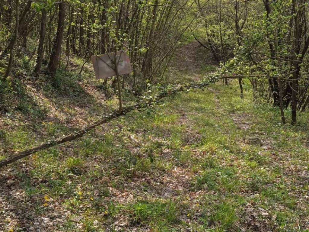 Terreno a Caiazzo in Via Acquarella - Foto 3