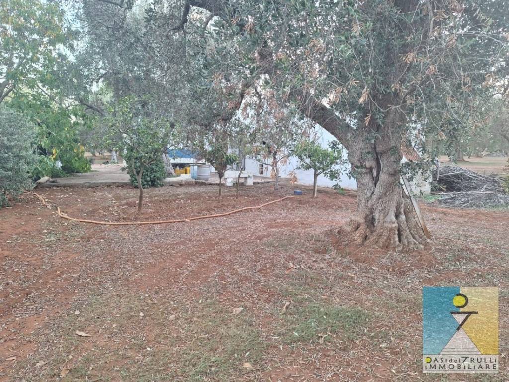 Villa a San michele salentino in Contrada Sardella - Foto 5