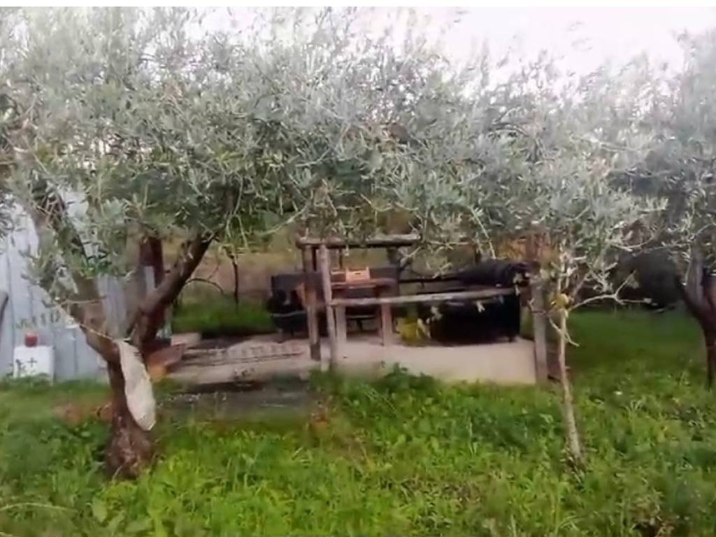 Terreno a Capaccio paestum in Via Gian Cesare - Foto 2