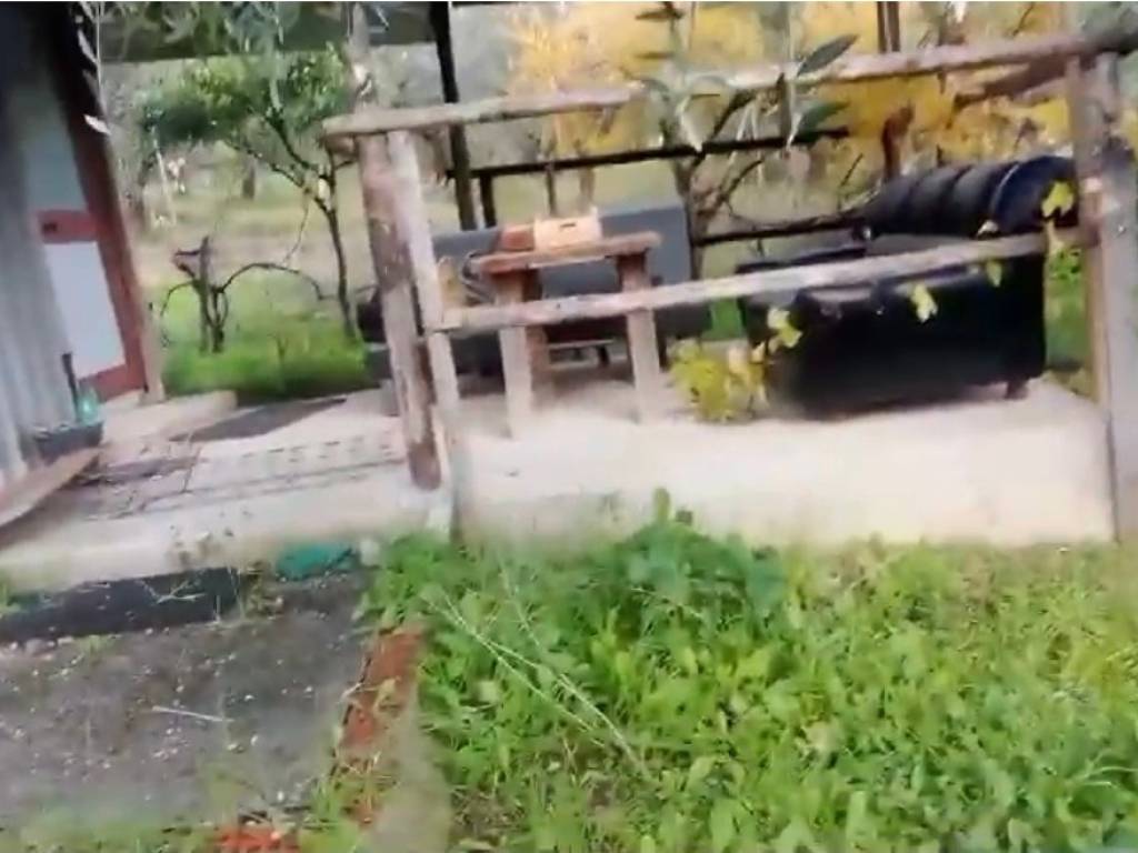 Terreno a Capaccio paestum in Via Gian Cesare - Foto 3