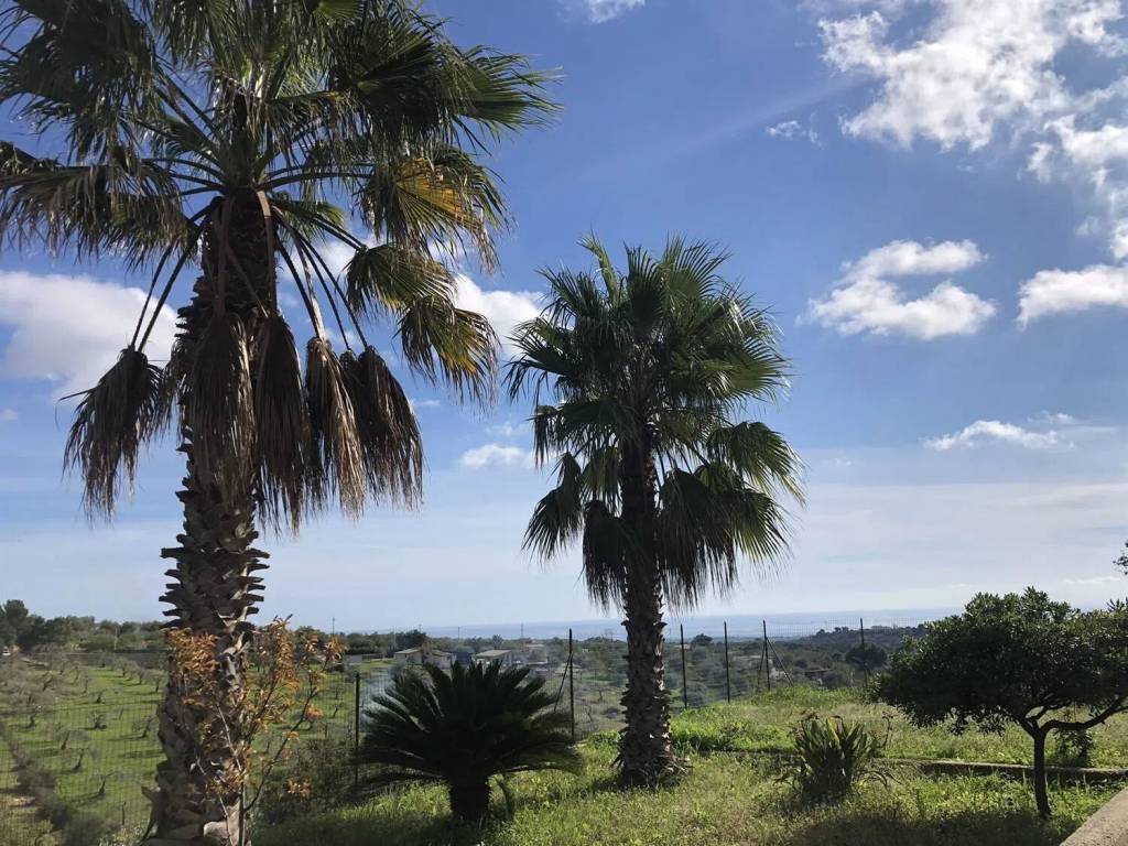 Villa a Noto in Via Cavour, 50 - Foto 3