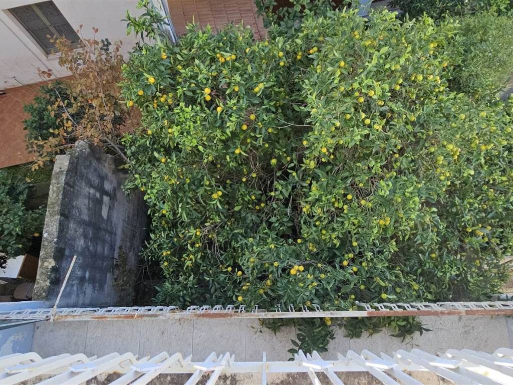 Appartamento a Trapani in Via Convento San Francesco di Paola - Foto 2