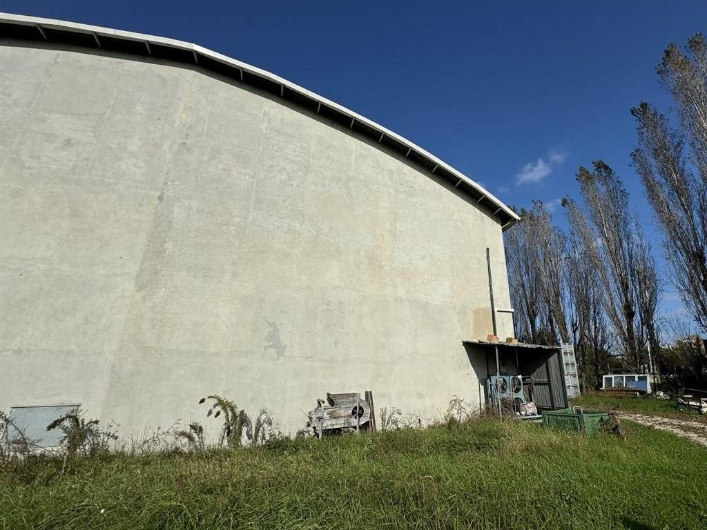 Immobile a Ravenna - Foto 3
