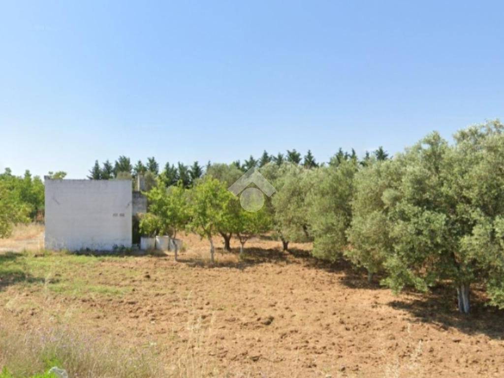 Villa a Francavilla fontana in Villa ad un passo dalla citta' - Foto 3