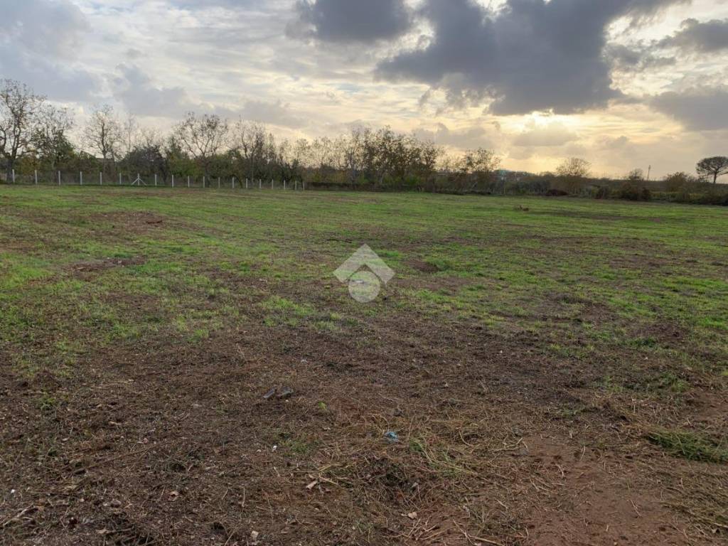 Terreno a Caserta in Via Sauda Vicinale Vairano - Foto 4