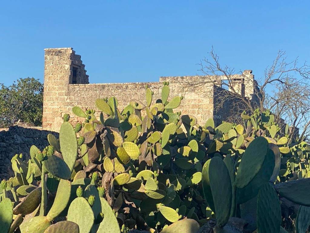 Rustico / casale a Galatina in contrada Paradisi - Foto 2