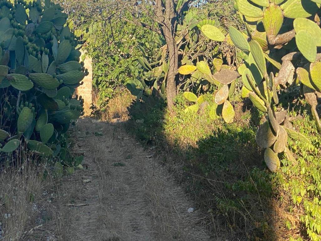 Rustico / casale a Galatina in contrada Paradisi - Foto 3