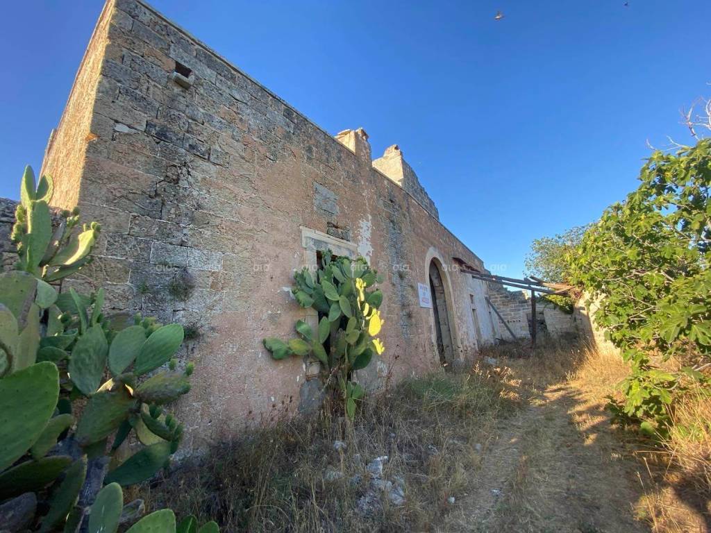 Rustico / casale a Galatina in contrada Paradisi - Foto 4