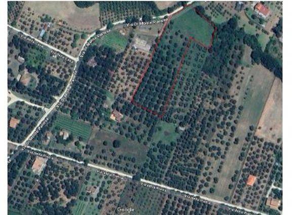 Terreno a Vetralla in Via della Pietra - Foto 4