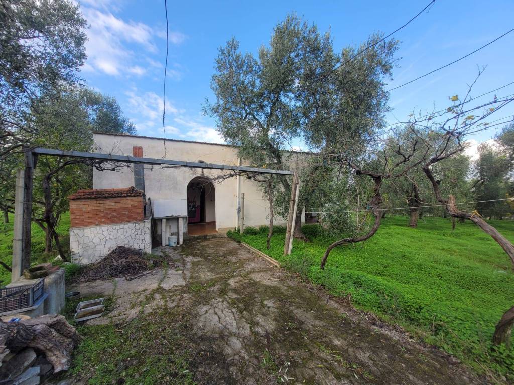 Rustico / casale a Vieste in Strada Vicinale di San Luca - Foto 3